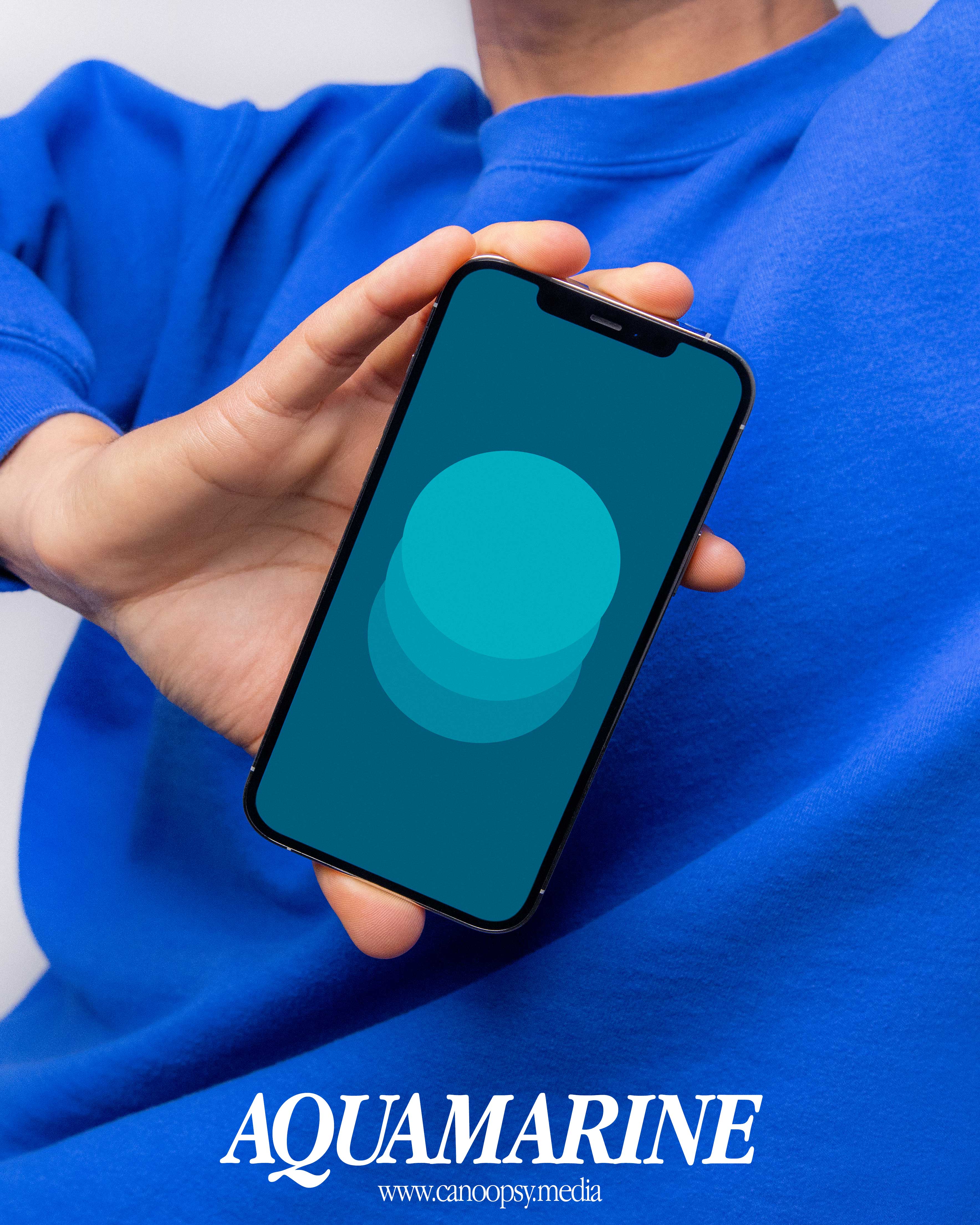 Circles - Bold Wallpapers