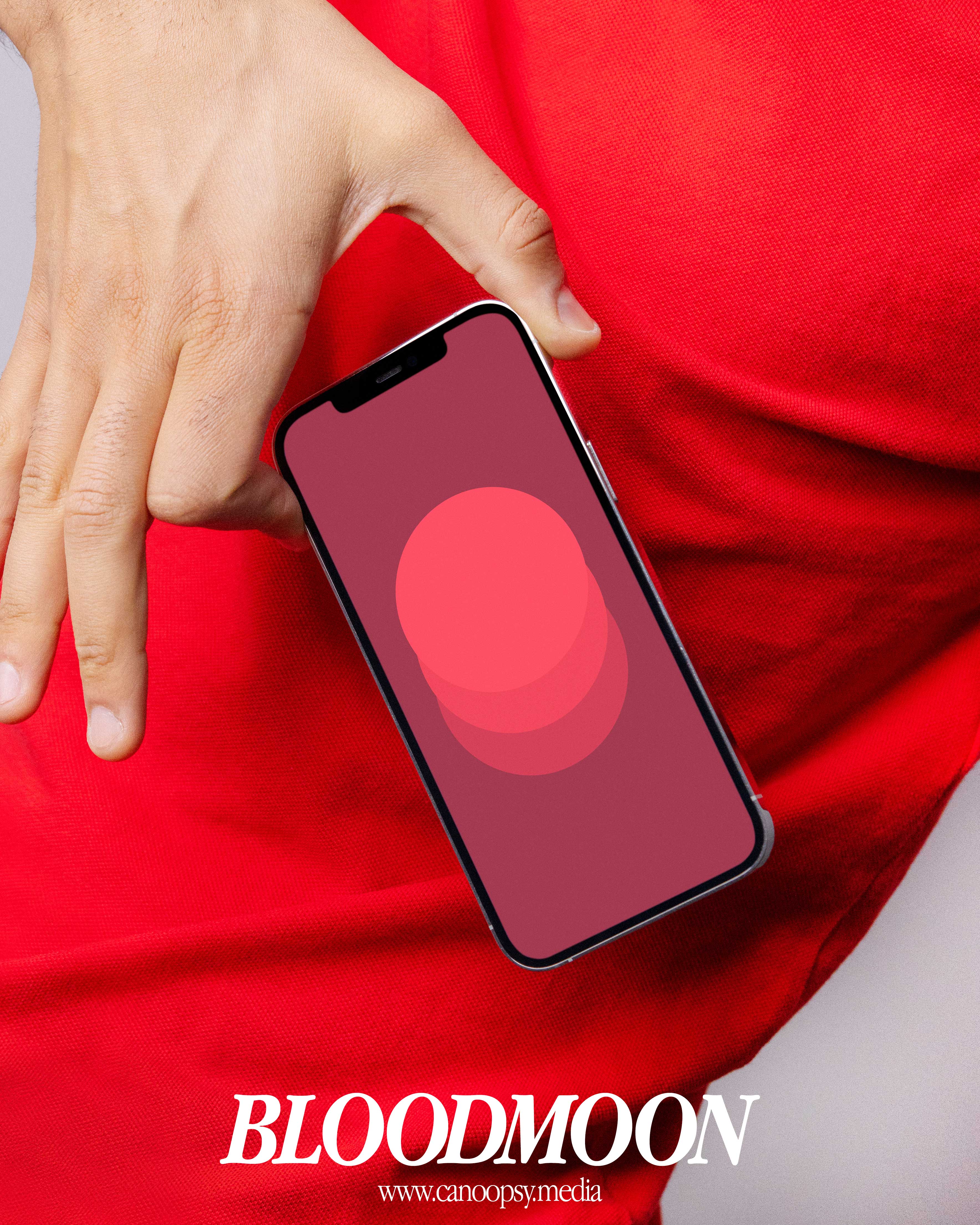 Circles - Bold Wallpapers