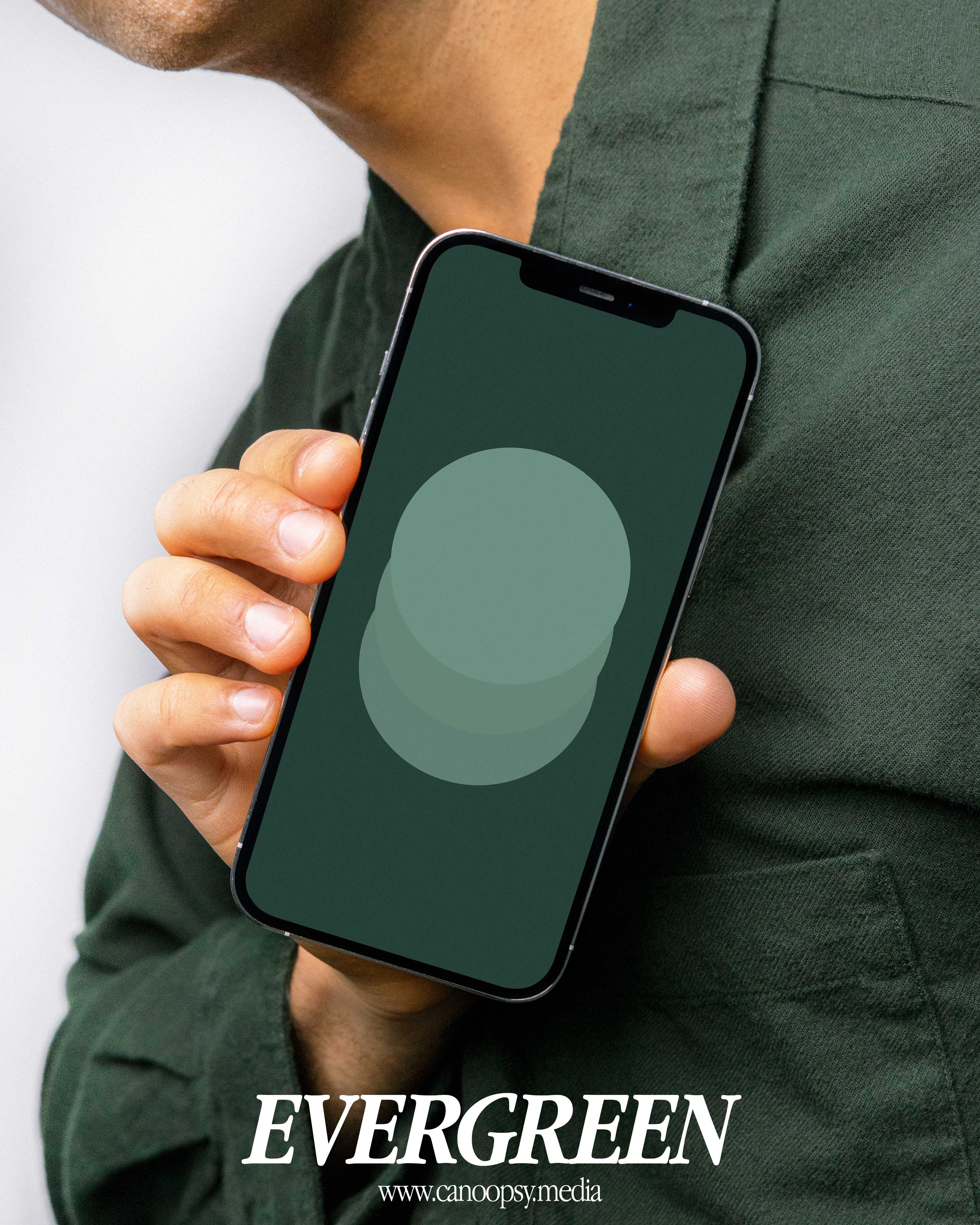 Circles - Bold Wallpapers