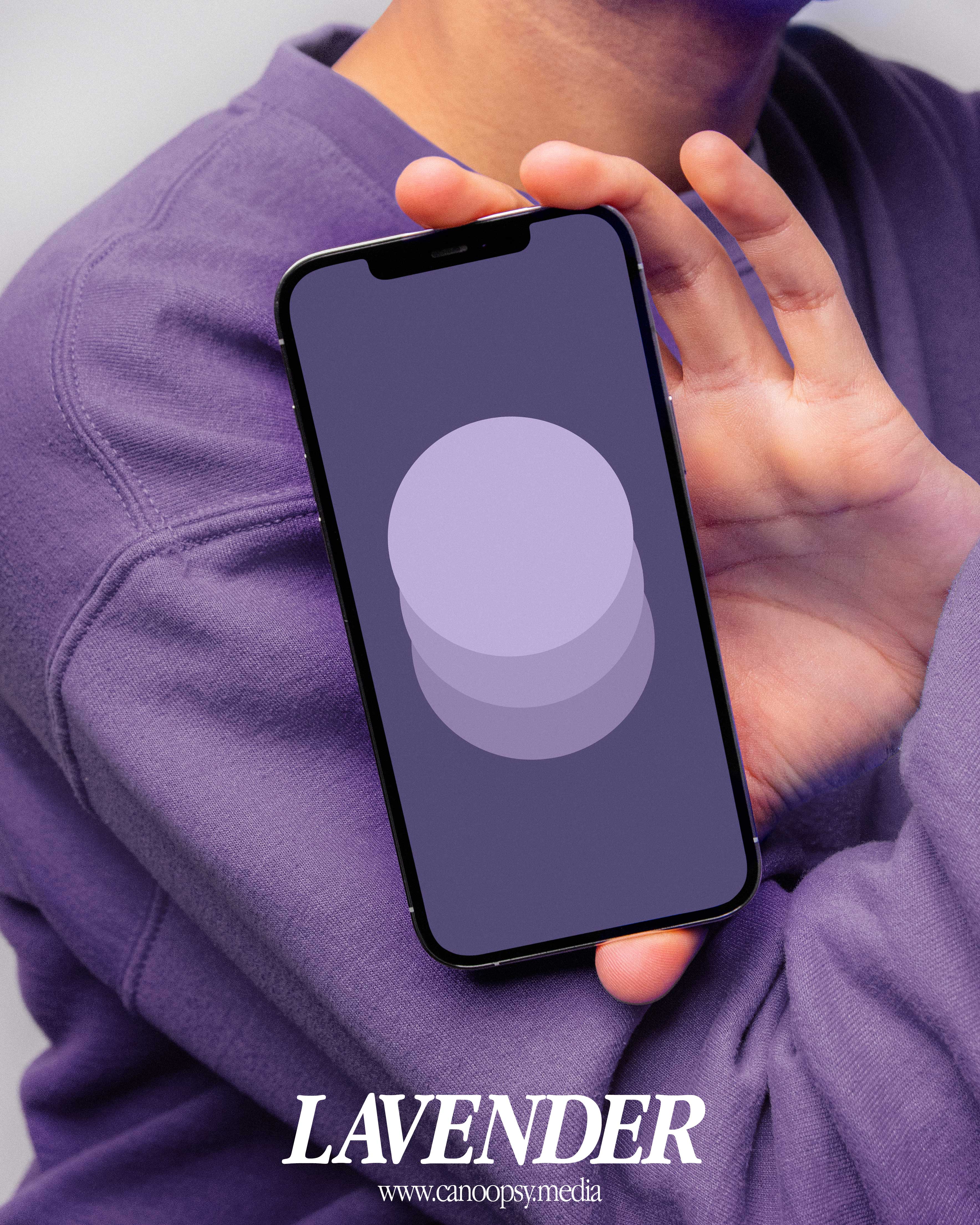 Circles - Bold Wallpapers