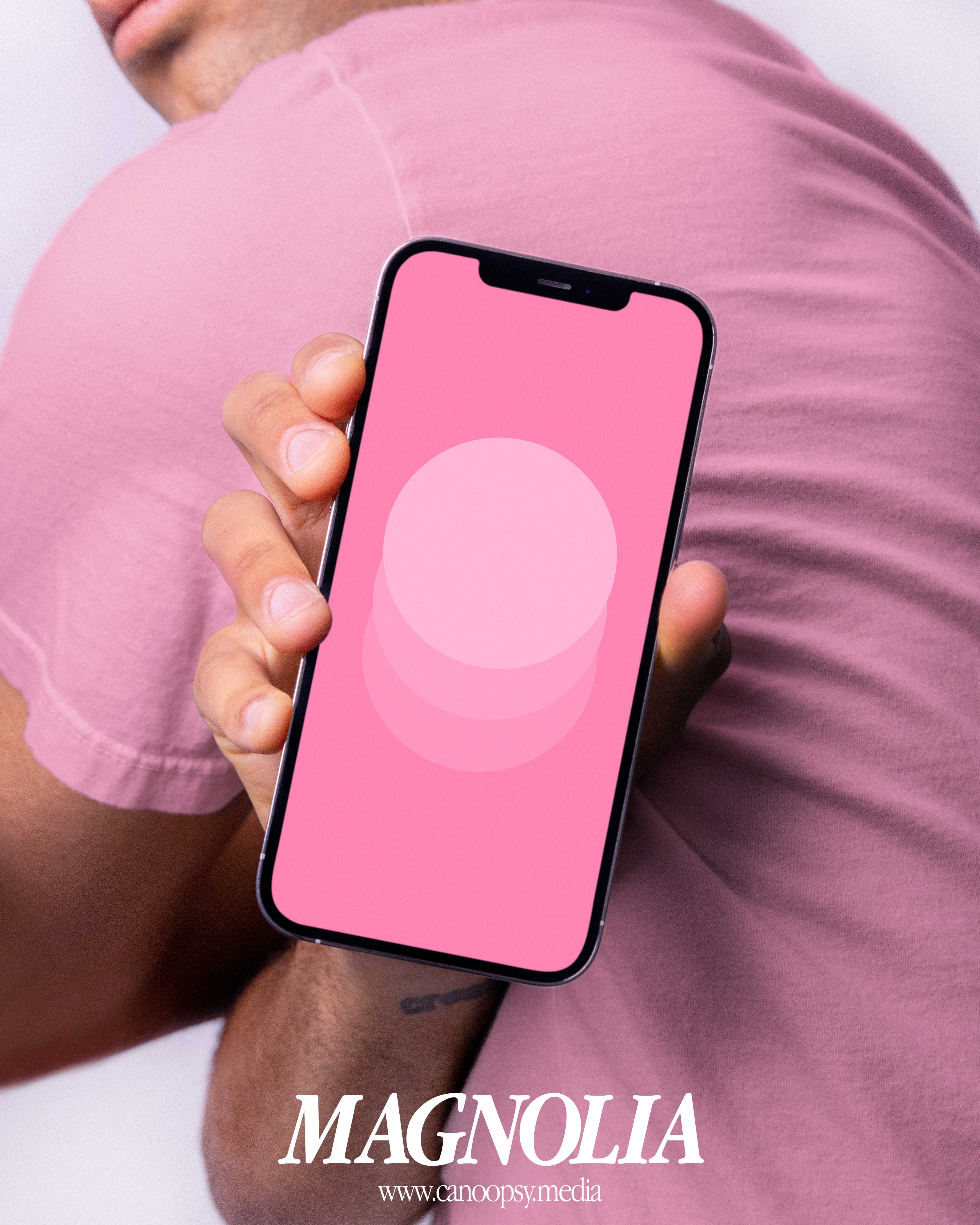 Circles - Bold Wallpapers