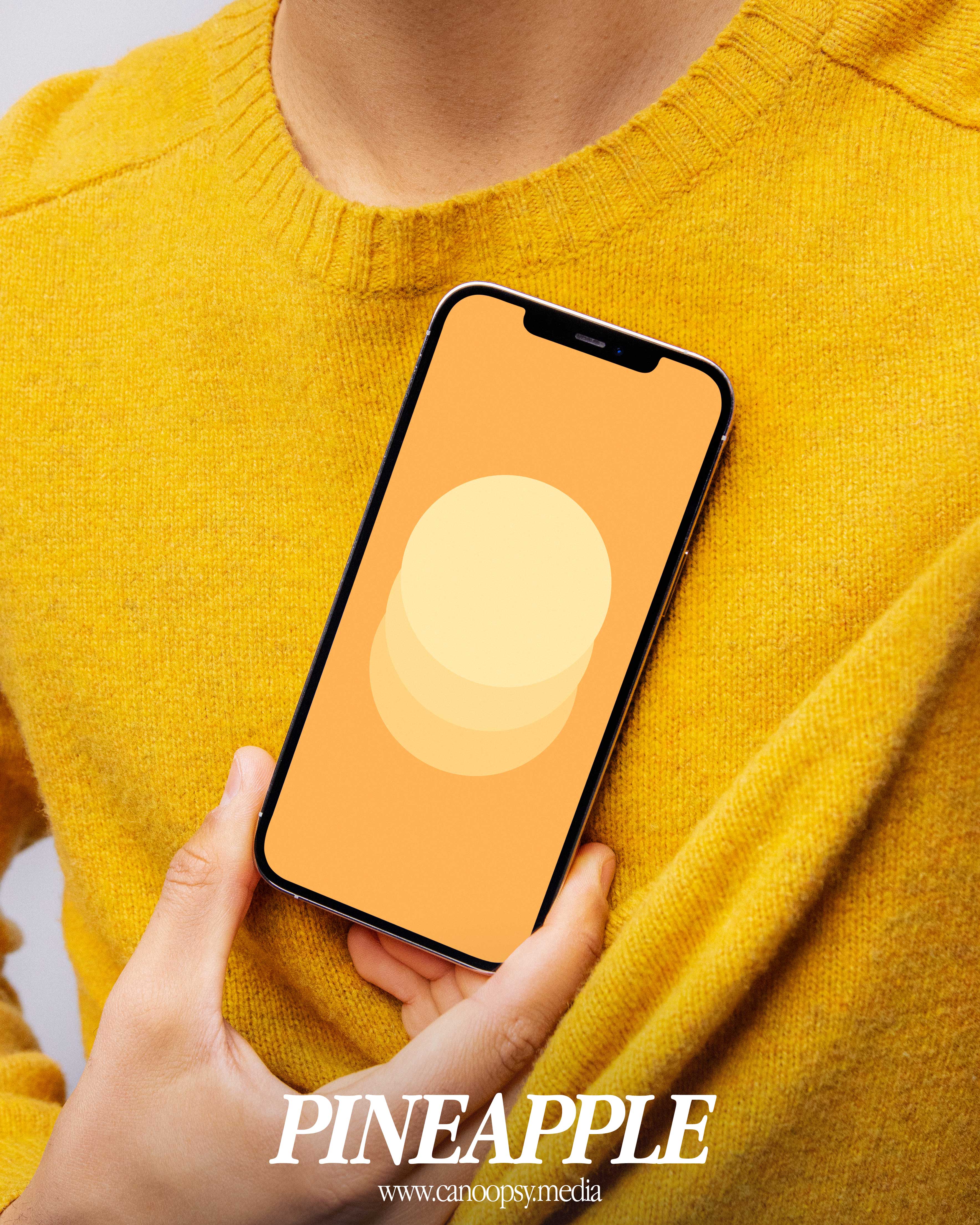 Circles - Bold Wallpapers